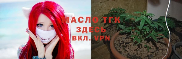 гашик Нефтекумск