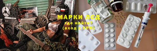 гашик Нефтекумск