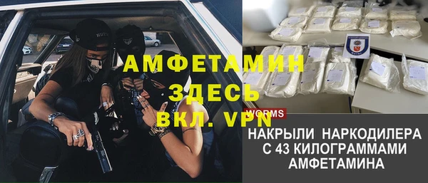 гашик Нефтекумск