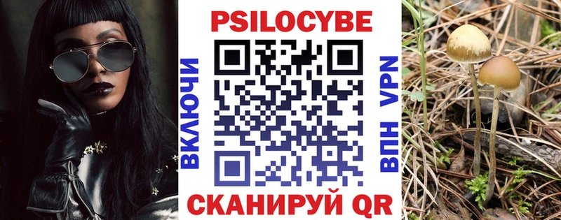 Галлюциногенные грибы Cubensis  Правдинск 